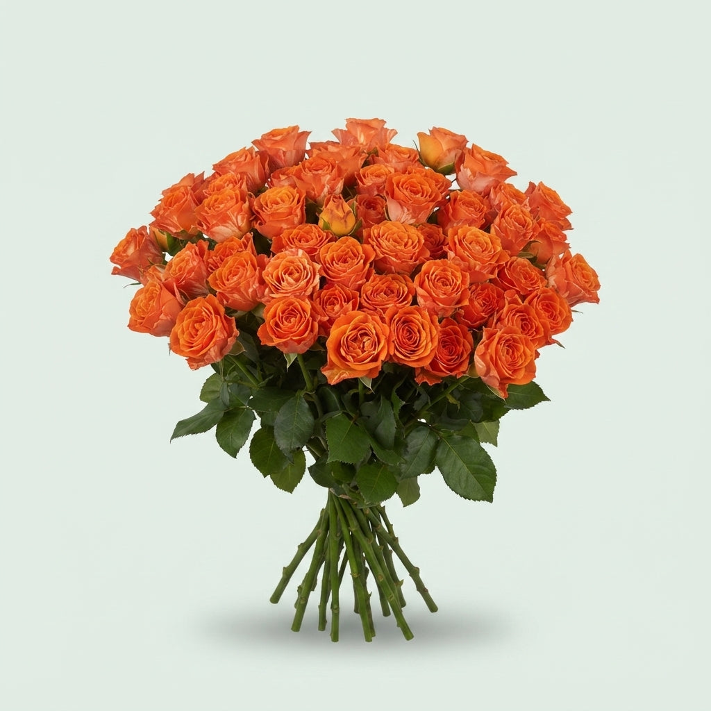 Spray Rose - Rosa - Ariya