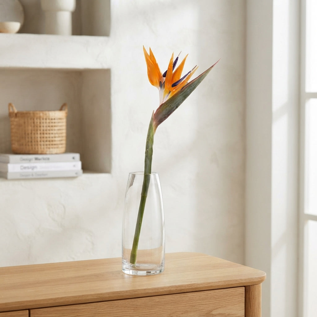 Bird of Paradise (Strelitzia reginae) – 60cm Orange Stems