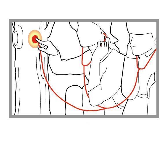 Twin Stethoscope