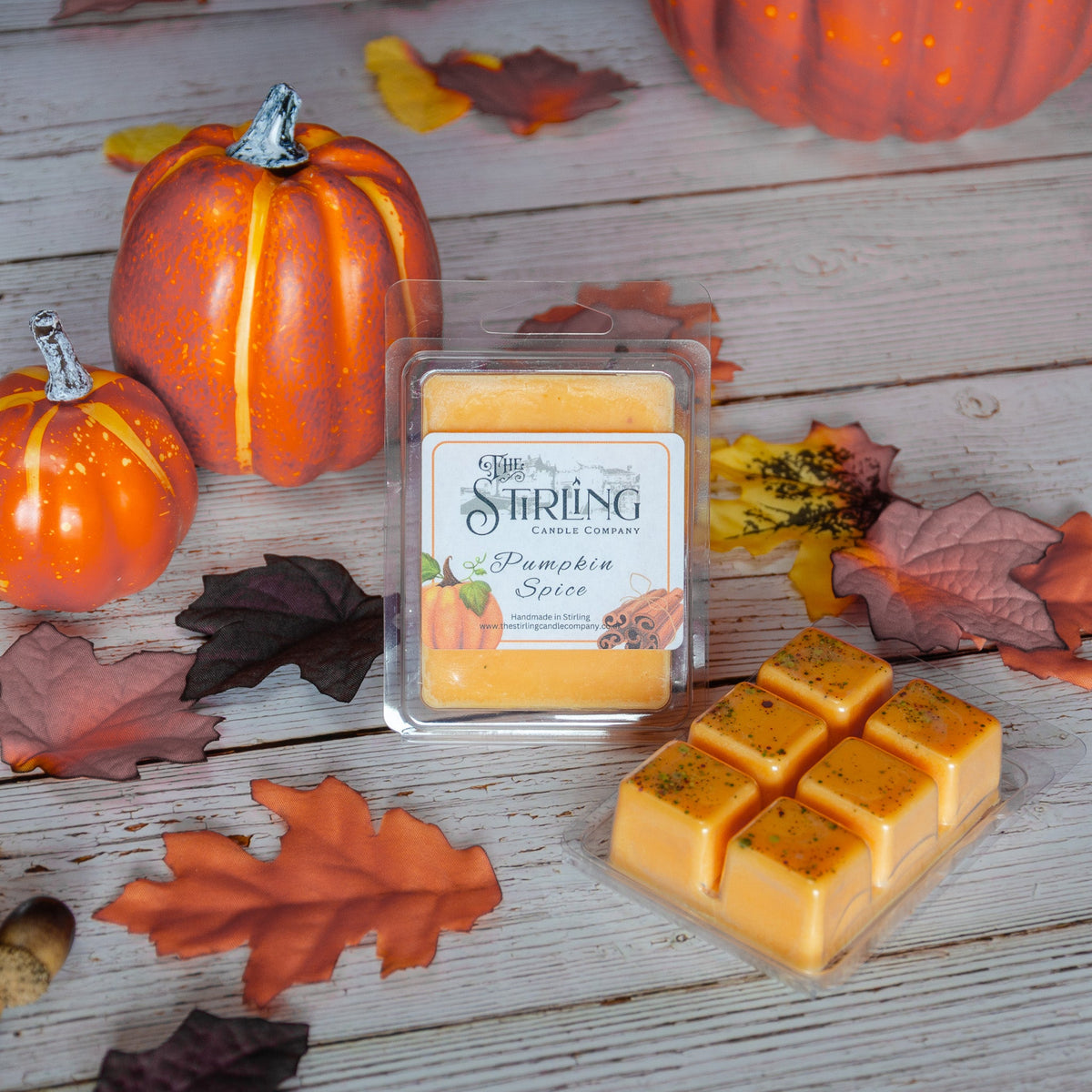 Pumpkin Spice - Wax Melt Clamshell