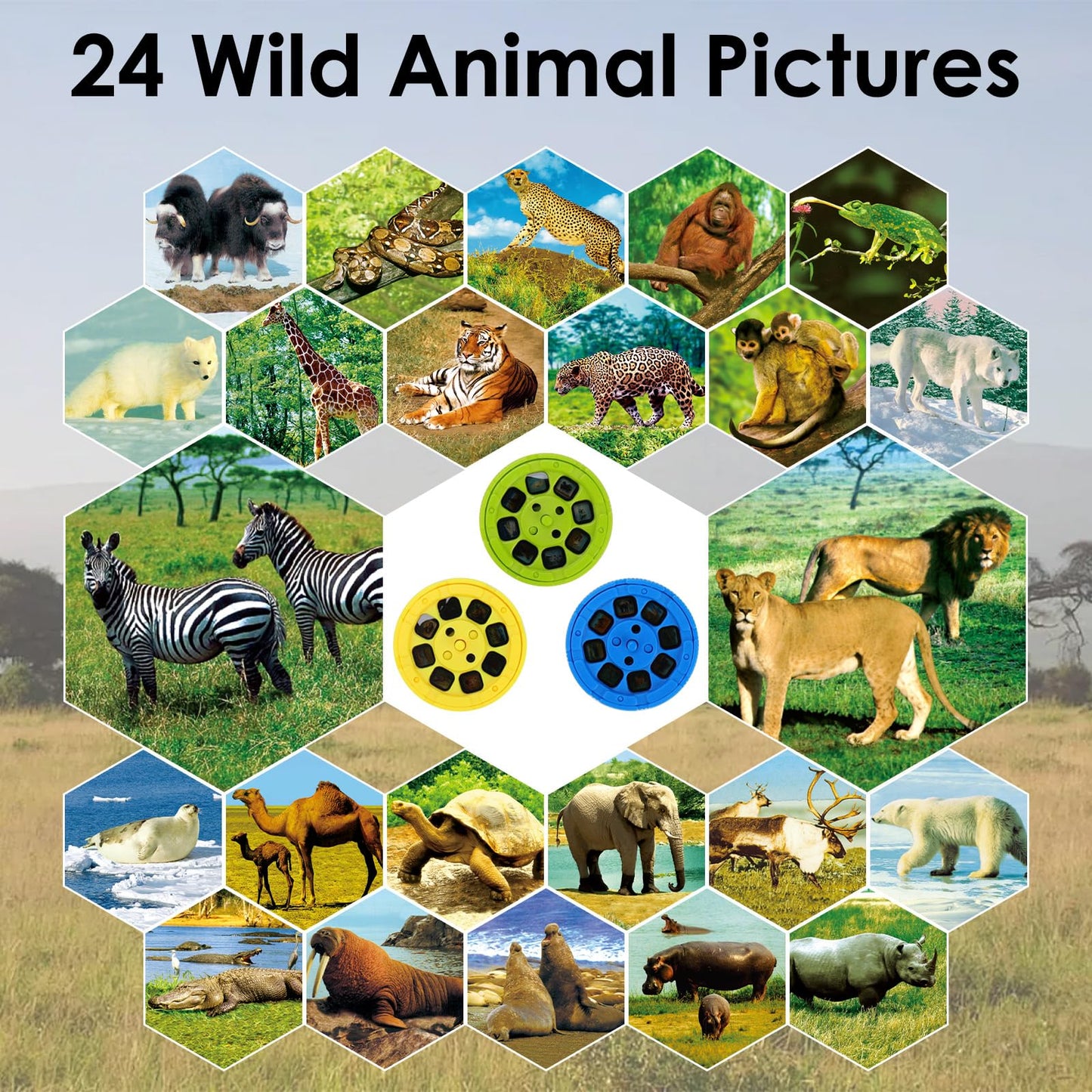 Pup Go Animal Projector Flashlight for Kids 3+, 24 Images on 3 Discs, Safari Animal Night Light & Learning Toy