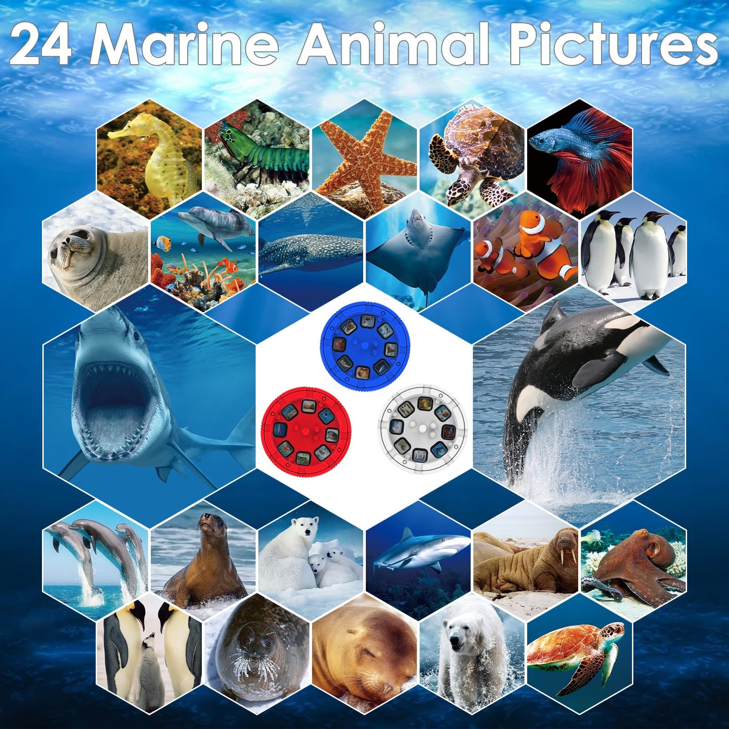 Pup Go Sea World Projector Flashlight for Kids 3-7 | 3 Discs, 24 Images, Ocean Night Light
