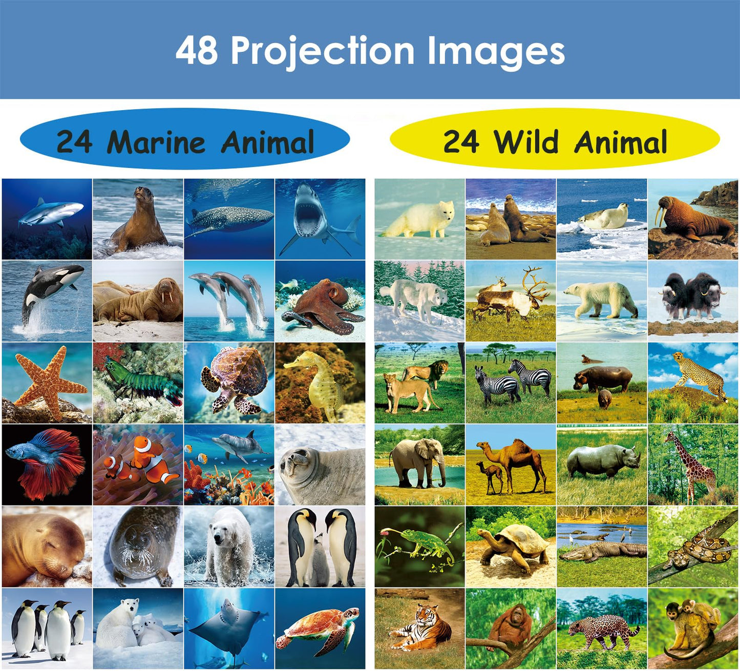 Pup Go 2-Pack Torch & Projector for Kids — Wild Animal & Sea World Themes, 48 Images, 3+