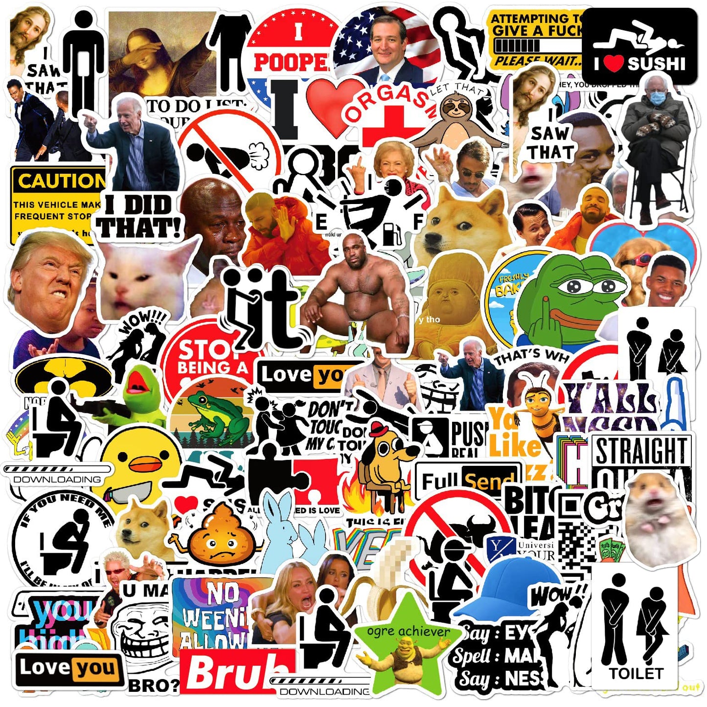 Puraesla 105pcs Funny Sticker Pack – Large Vinyl Meme Decals for Bumpers, Laptops & More