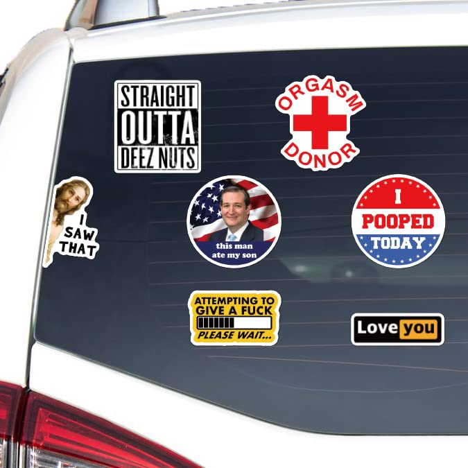 Puraesla 105pcs Funny Sticker Pack – Large Vinyl Meme Decals for Bumpers, Laptops & More