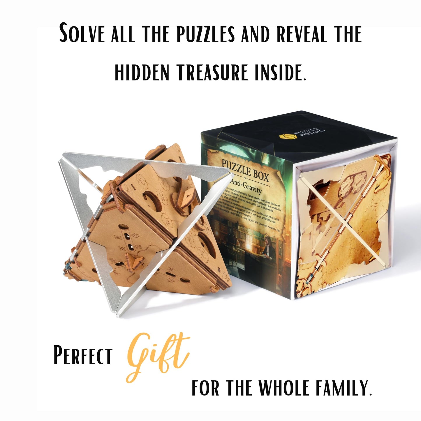 PUZZLE POTATO Anti-Gravity Puzzle Box — 3D Brain Teaser for Adults (Metal)