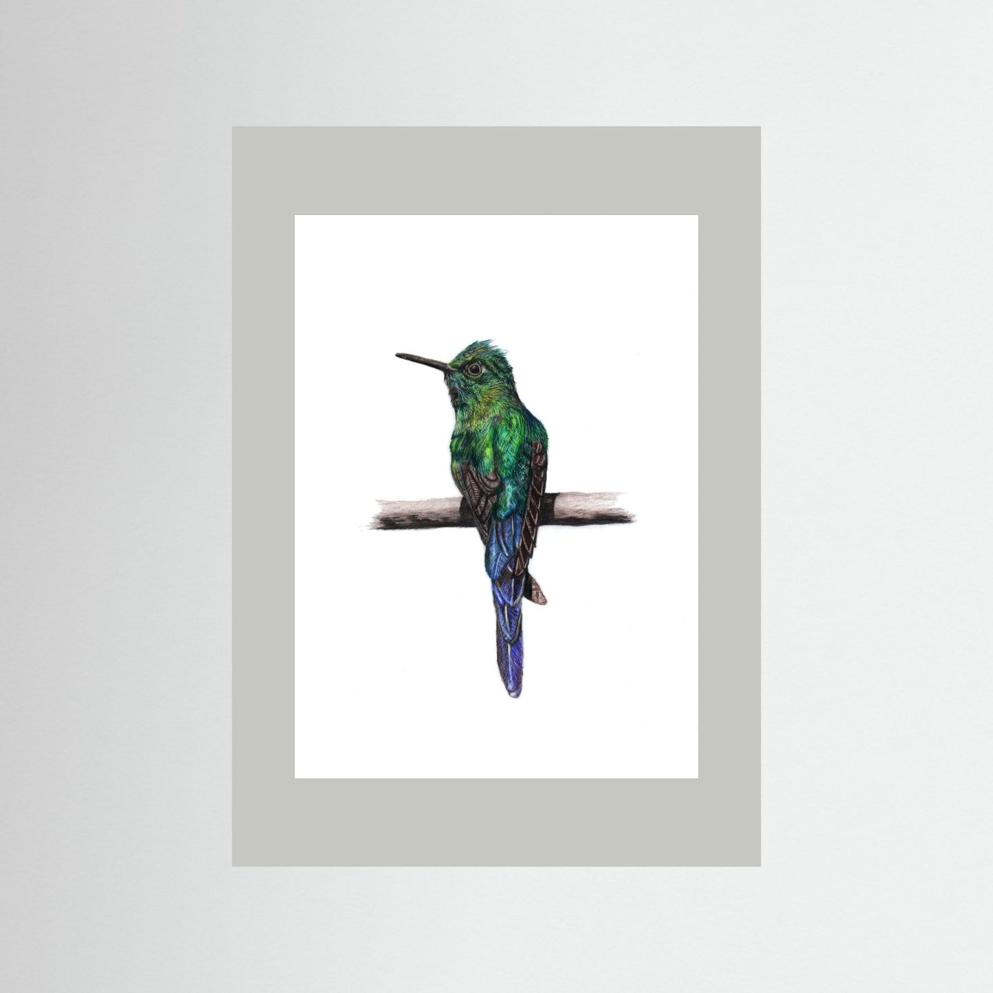 Hummingbird Wall Art Print – Fine Art Wildlife Illustration
