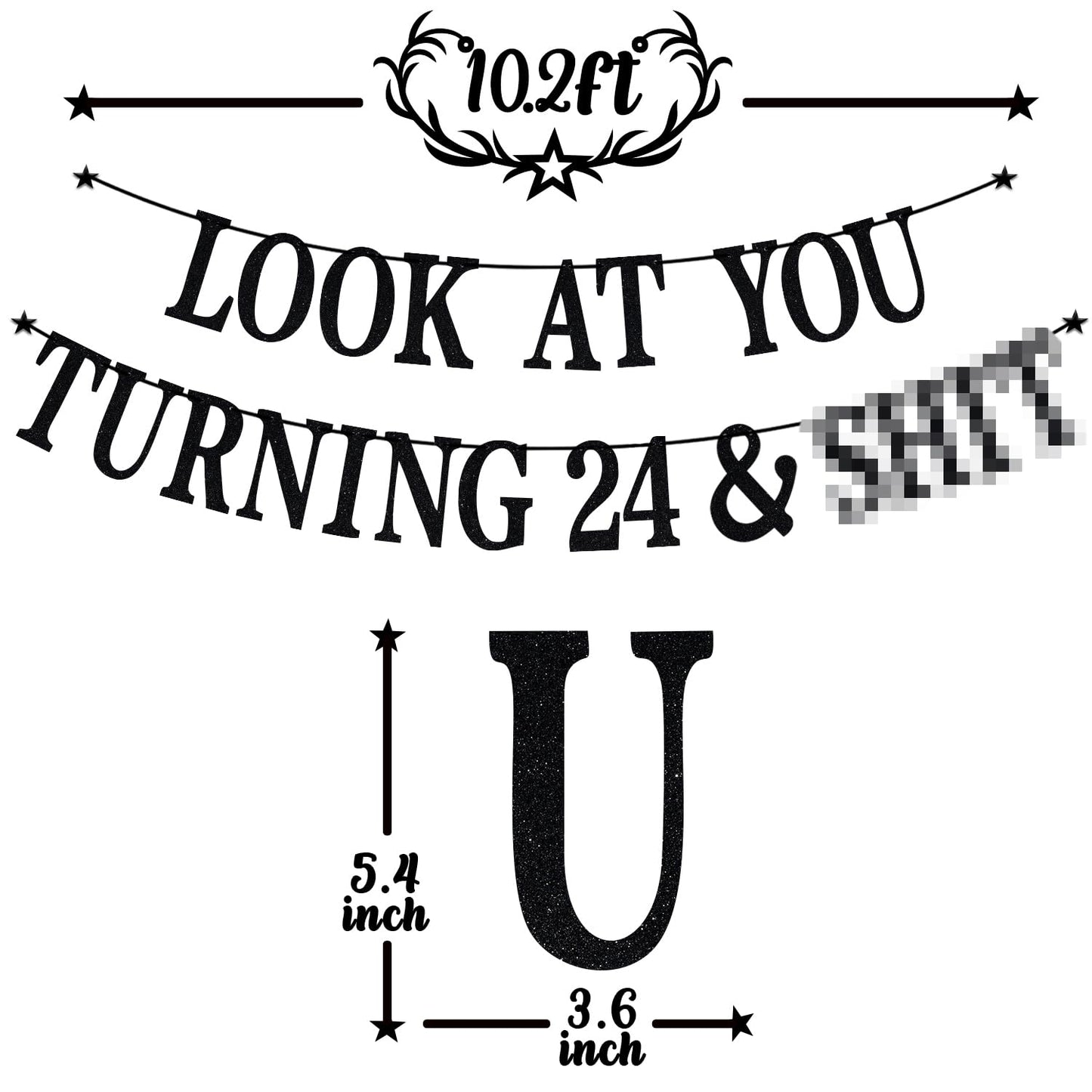 PYBHILK Black Glitter Look at You Turning 24 Banner — 24th Birthday Party Decor