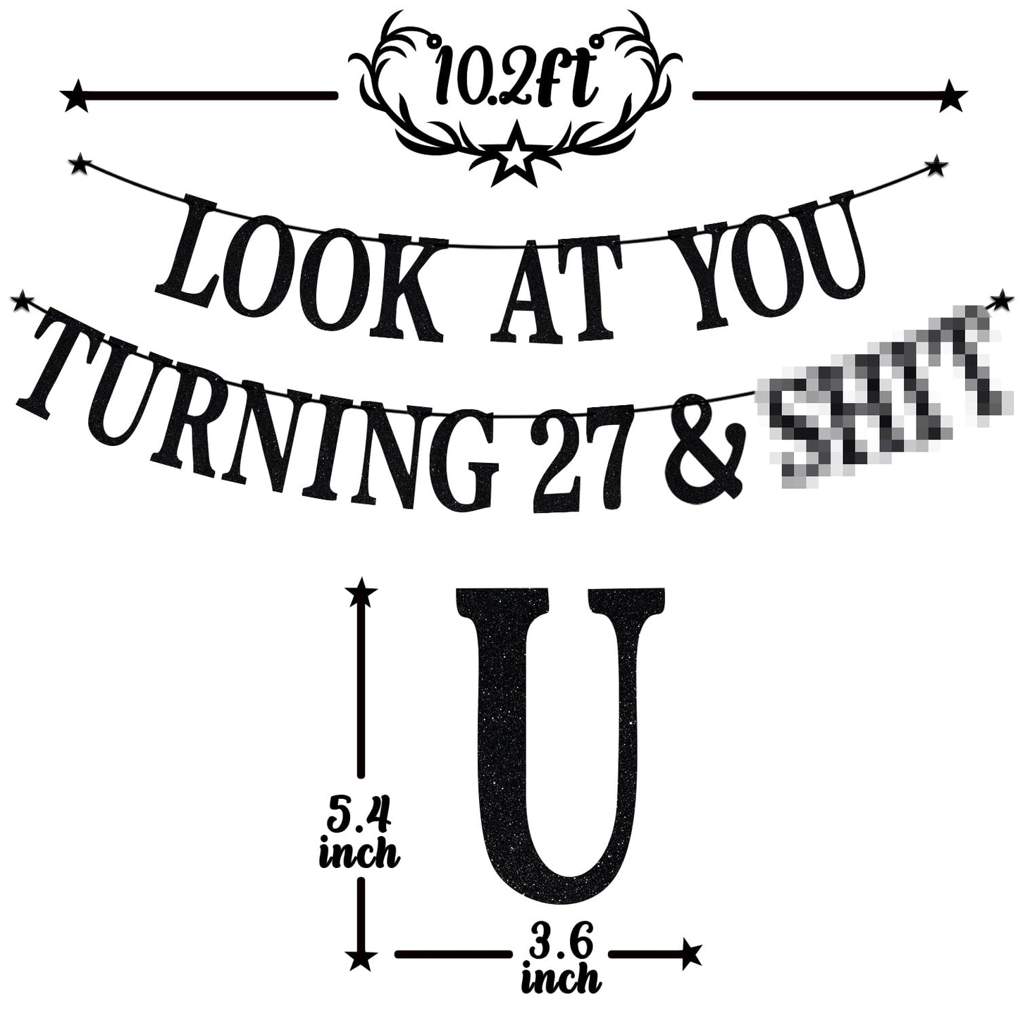 PYBHILK Black Glitter Look at You Turning 27 Banner – 27th Birthday Decor, Level 27 Unlocked