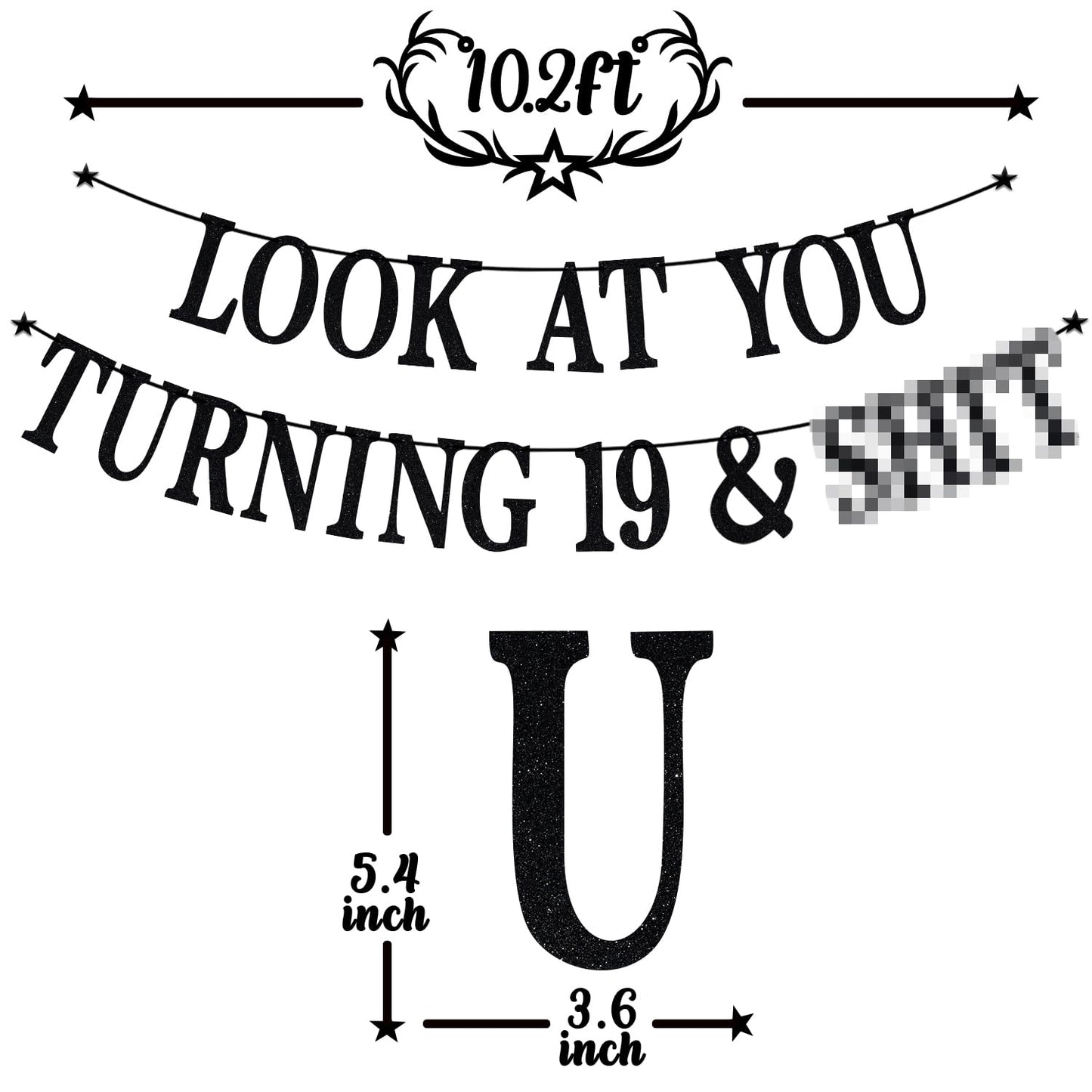 PYBHILK Black Glitter Banner – Look at You Turning 19 & Sh*t | 19th Birthday Decor