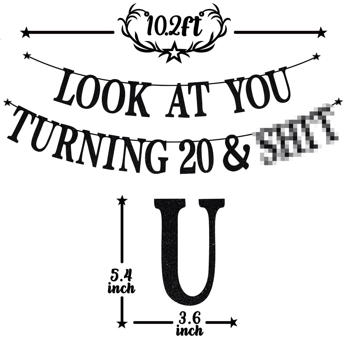 PYBHILK Black Glitter Look at You Turning 20 Banner — 20th Birthday Decor