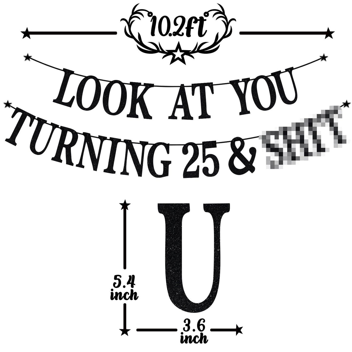 PYBHILK Black Glitter Look at You Turning 25 Banner — Happy 25th Birthday Party Decor | Level 25 Unlocked