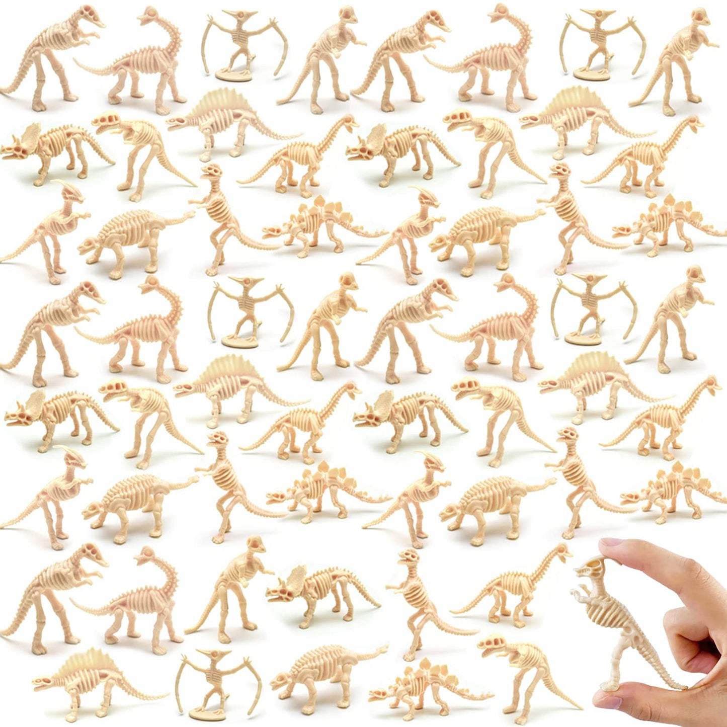 Qiuttnqn 60 Pack Dinosaur Fossil Skeletons – 12 Styles Plastic Dino Bones for Sand Dig, Science Play & Party Favors