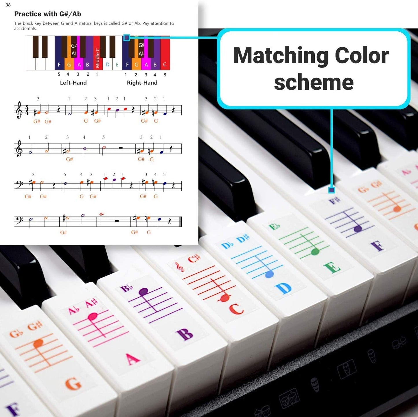 QMG Color Piano Stickers & Complete Color Note Piano Lessons for Kids and Beginners | Designed and Printed in USA