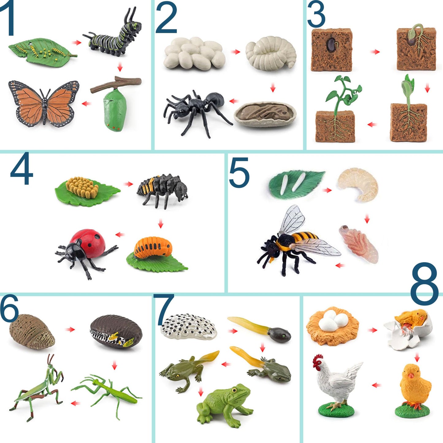 QuarenDen Life Cycle Animal Kit – 33-Piece Montessori Figurines for Kids 3+