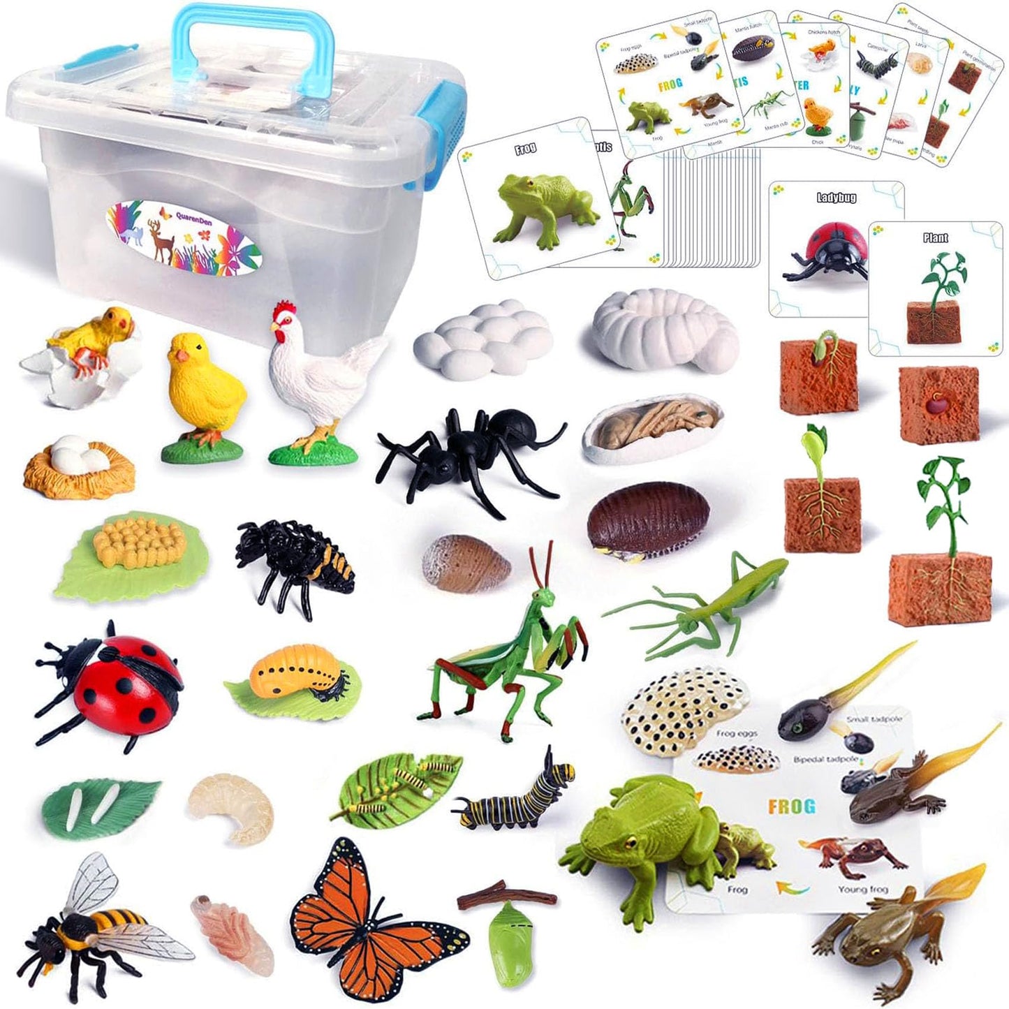 QuarenDen Life Cycle Animal Kit – 33-Piece Montessori Figurines for Kids 3+