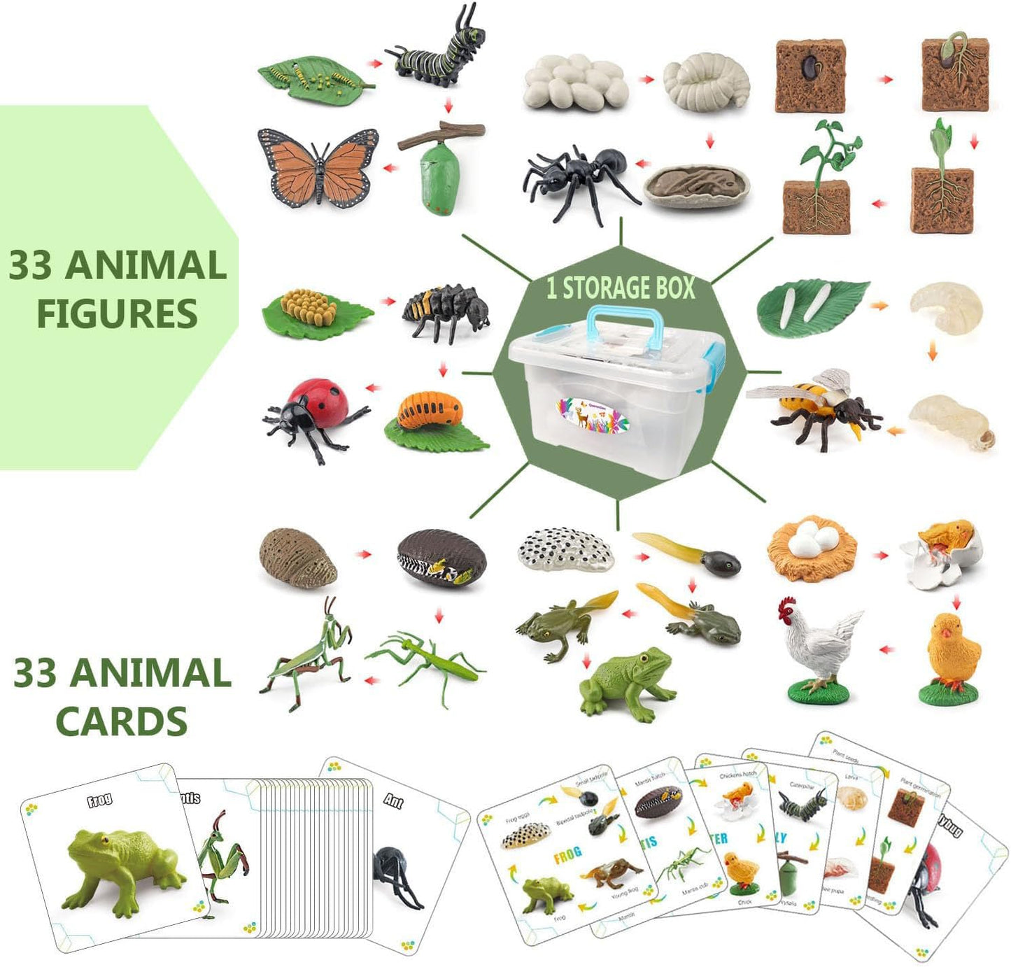 QuarenDen Life Cycle Animal Kit – 33-Piece Montessori Figurines for Kids 3+