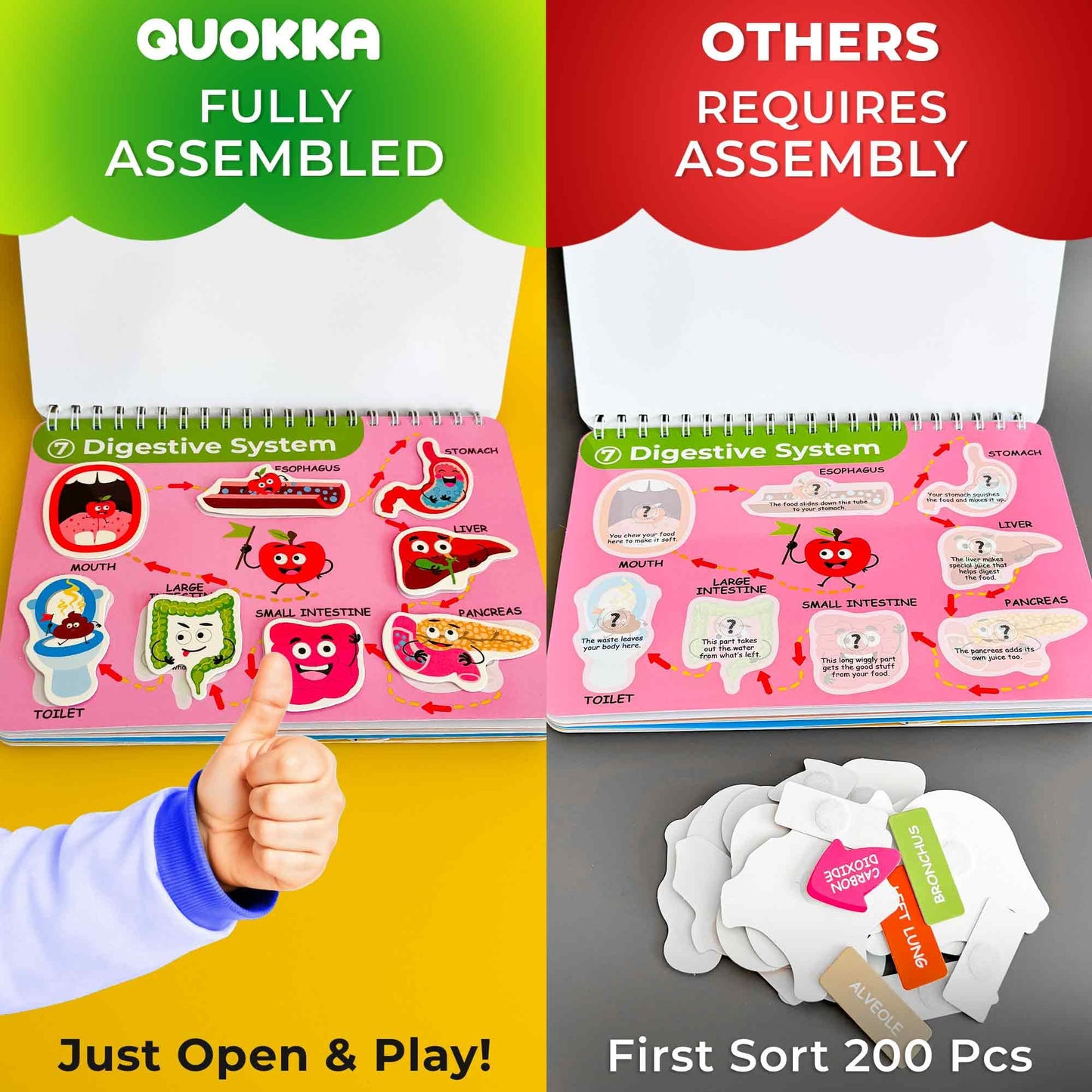 QUOKKA Human Body Busy Book for Kids 4-8 — Fully Assembled Montessori Anatomy Activities