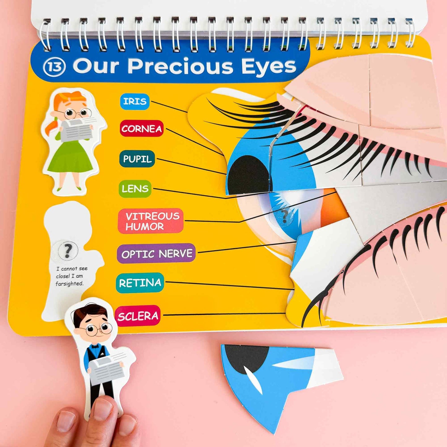 QUOKKA Human Body Busy Book for Kids 4-8 — Fully Assembled Montessori Anatomy Activities
