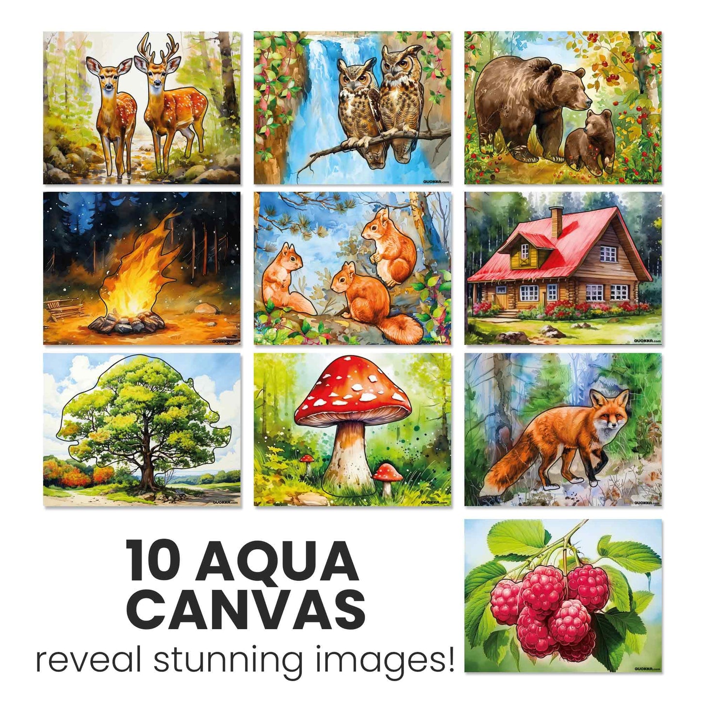 QUOKKA Water Painting Set for Seniors – Forest Moments Dementia Activities