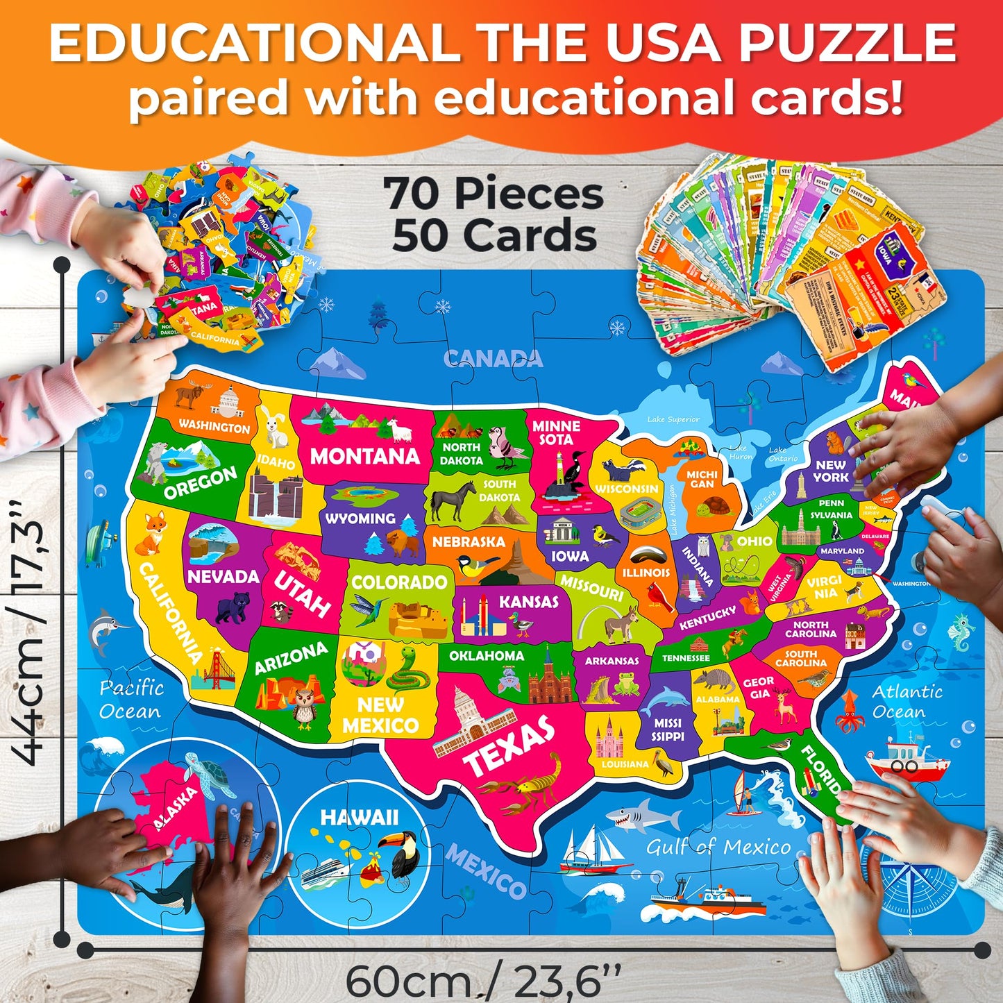 QUOKKA US Map Puzzle – 70 Pieces + 50 Flashcards for Kids 4–6