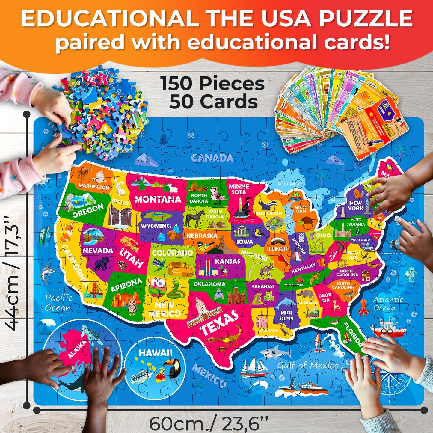 QUOKKA 150-Piece USA Map Puzzle + 50 Double-Sided Flashcards for Kids 6–10 | Educational Jigsaw & Facts Cards Gift