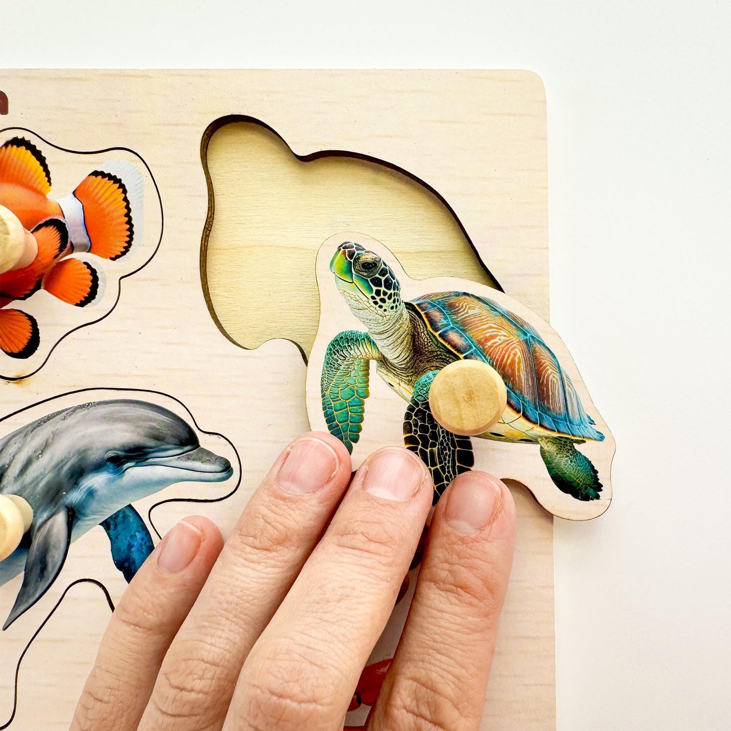 QUOKKA Wooden Puzzles for Toddlers 1-3 | 6-Pegged Animal & Fruit Learning Toy