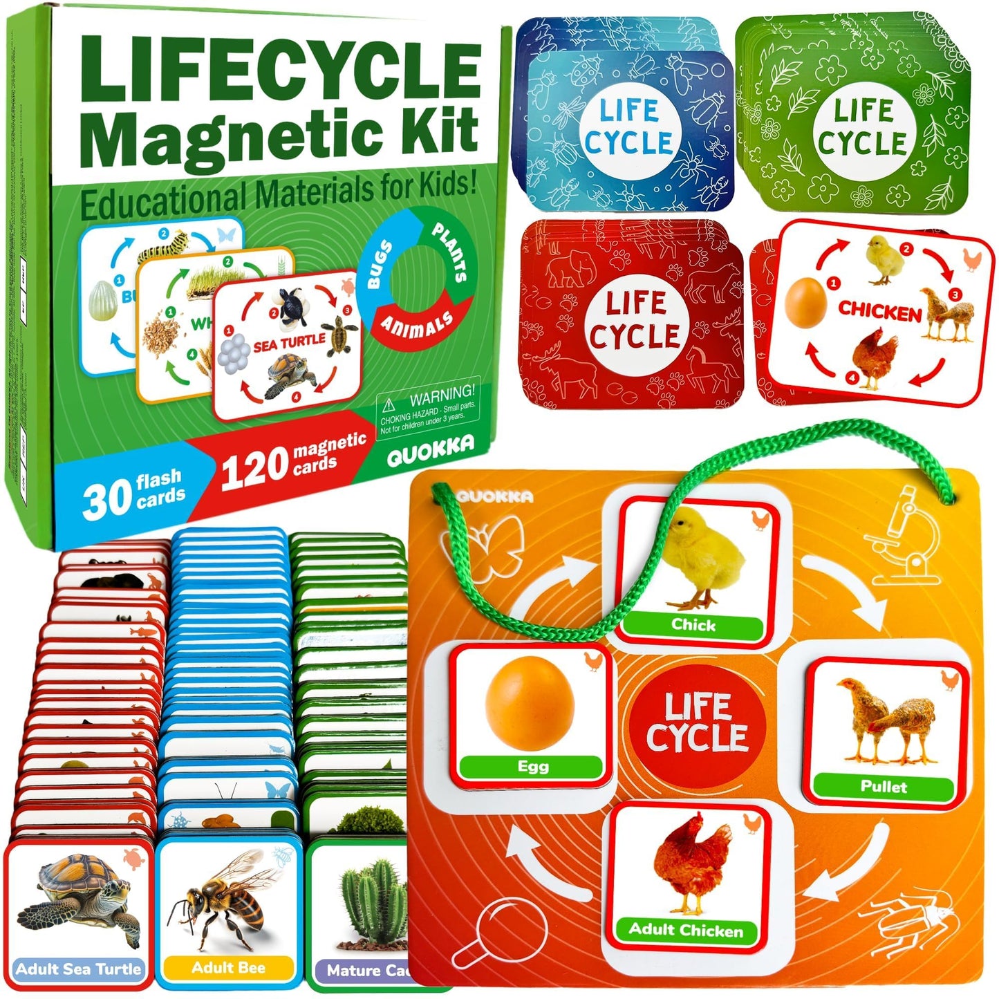 QUOKKA Life Cycle Kit Montessori – 120 Magnetic Cards for Toddler Science (Ages 2-4)