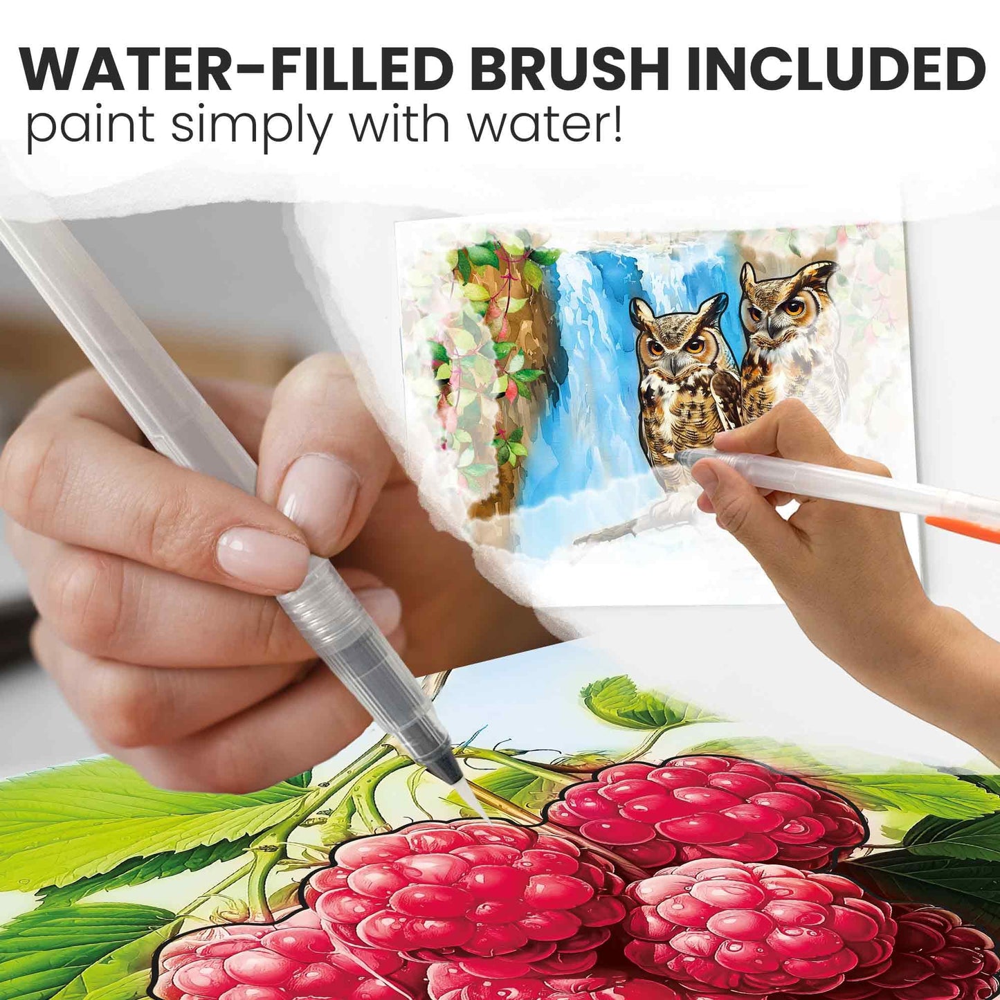 QUOKKA Water Painting Set for Seniors – Forest Moments Dementia Activities