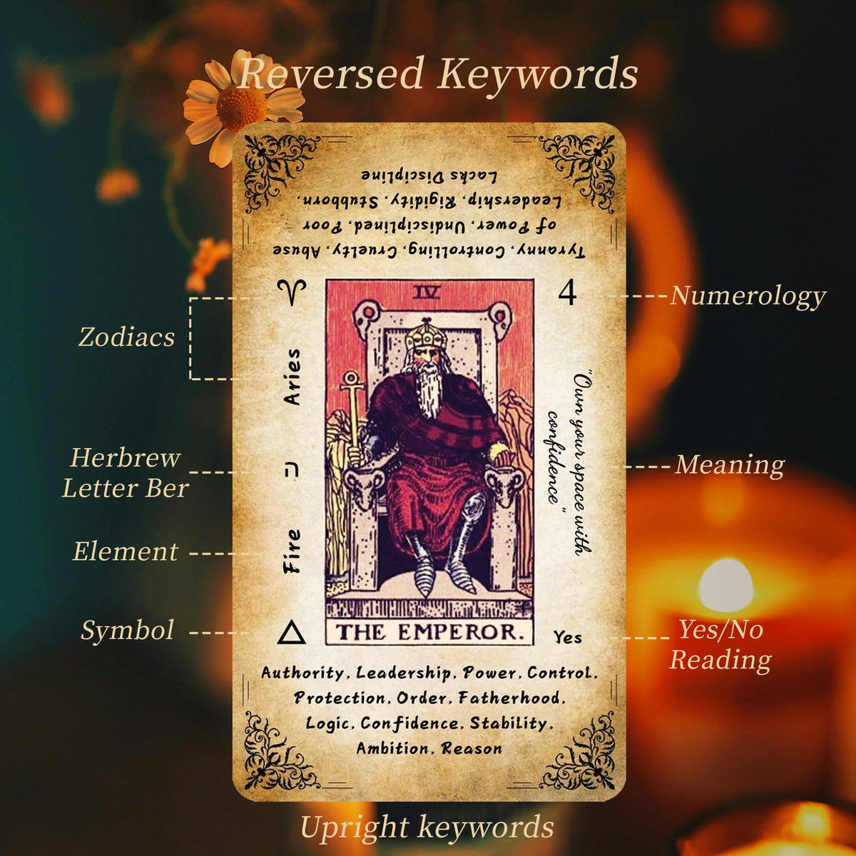 Qymagicz Tarot Cards for Beginners — Vintage Classic Deck with Guide Book, Gold Gilded Edges