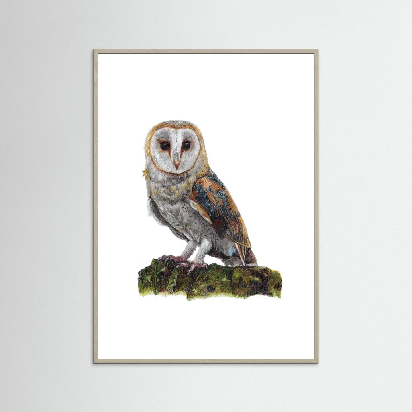 Barn Owl Wildlife Framed Art Print | British Bird Wall Art