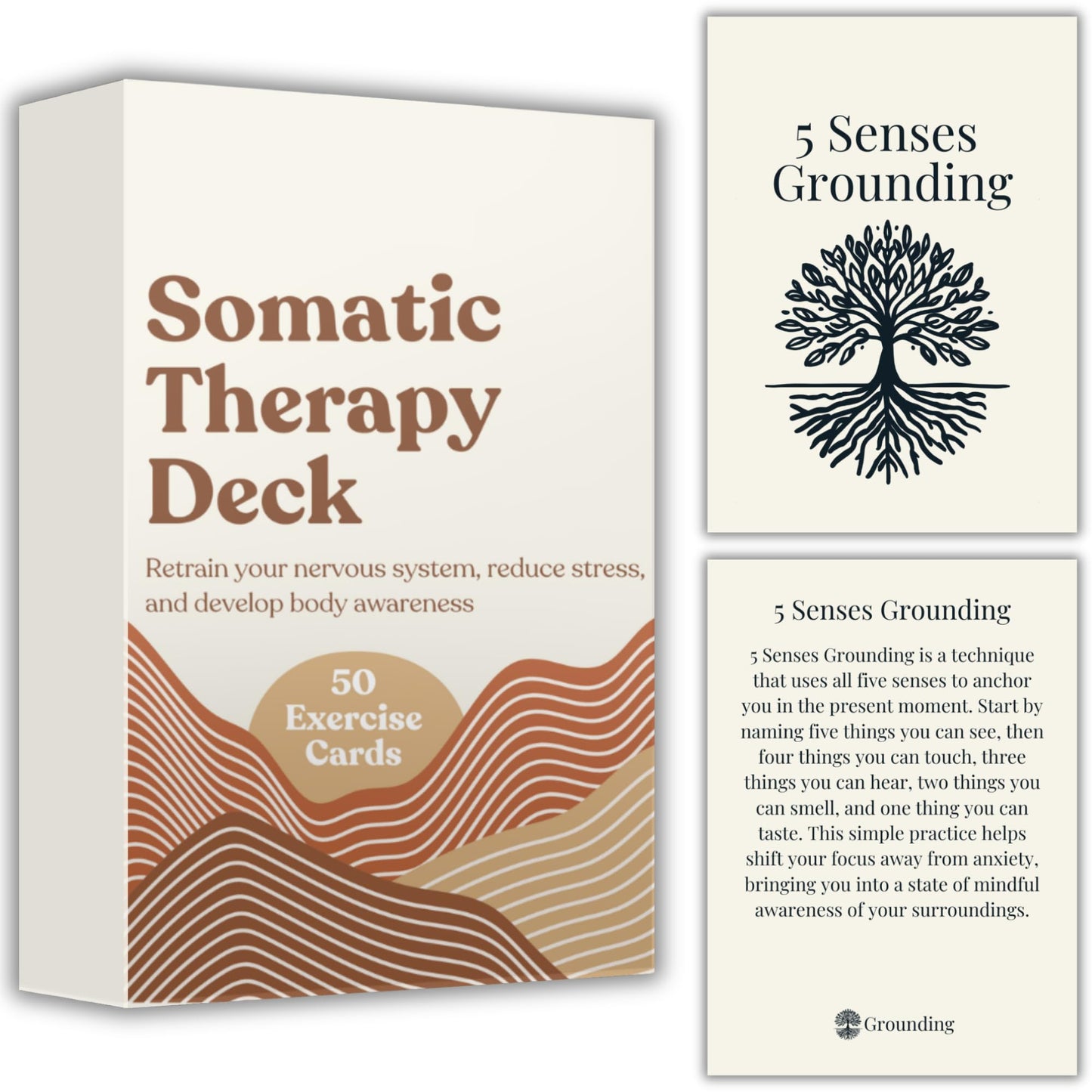Raptor Studio Somatic Therapy Cards — Grounding, Mindfulness & Stress Relief