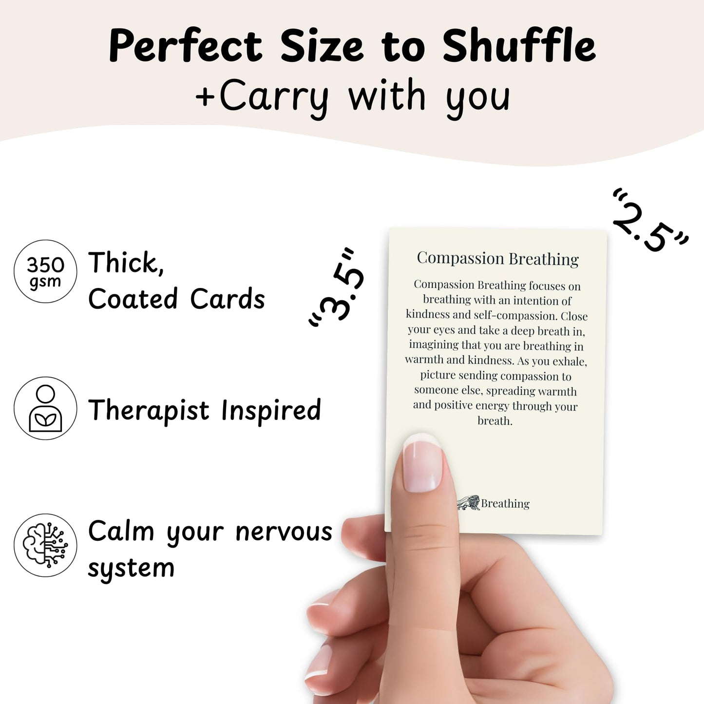 Raptor Studio Somatic Therapy Cards — Grounding, Mindfulness & Stress Relief