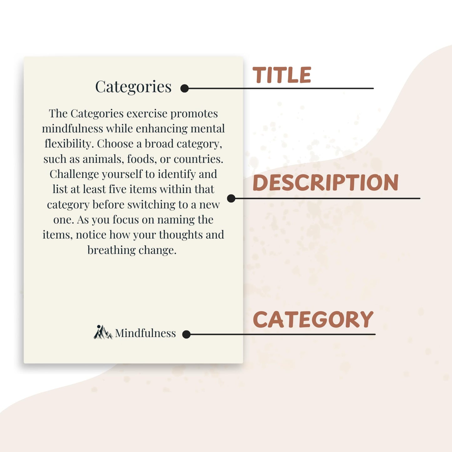Raptor Studio Somatic Therapy Cards — Grounding, Mindfulness & Stress Relief