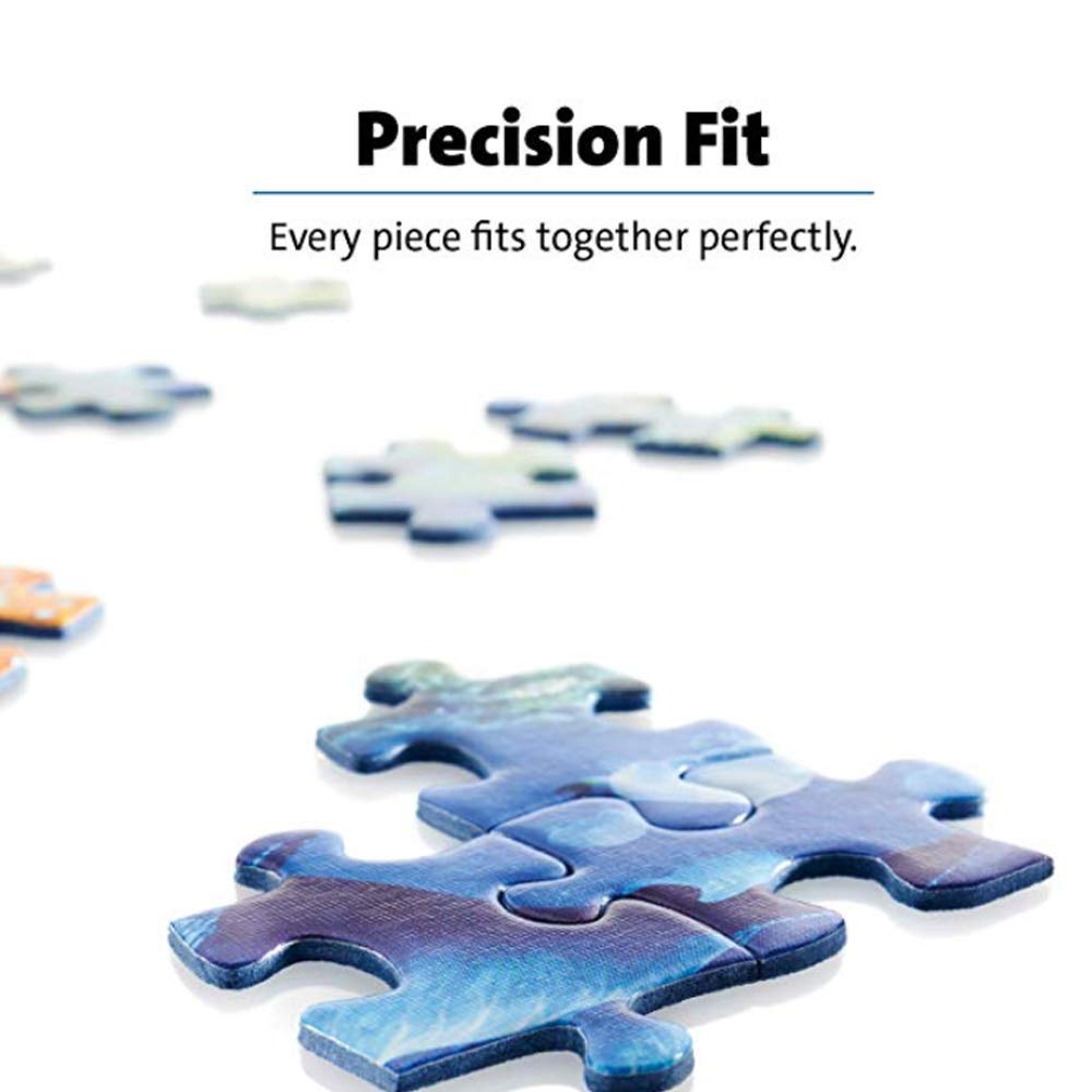 Ravensburger Birds of Art 1000-Piece Puzzle — Unique Artwork, Interlocking Fit, FSC Certified
