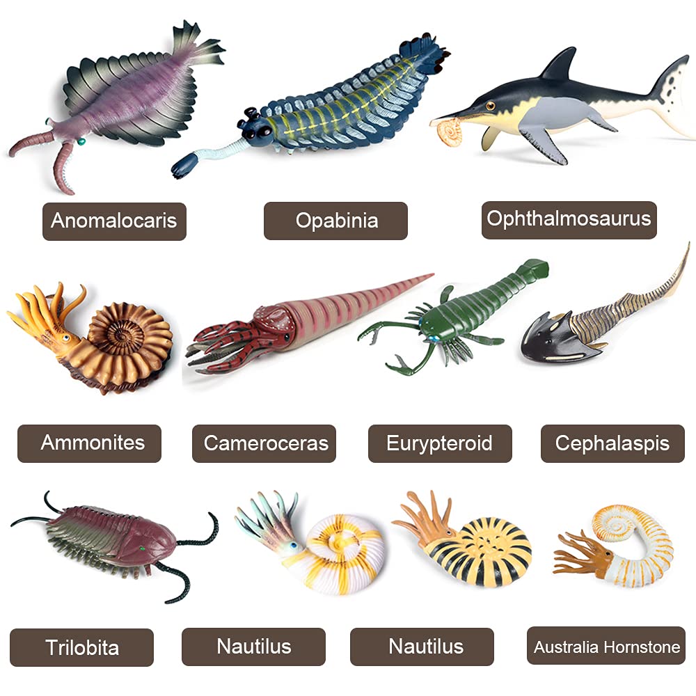 RCOMG 11PCS Prehistoric Sea Creatures Toys – Educational Marine Figurines