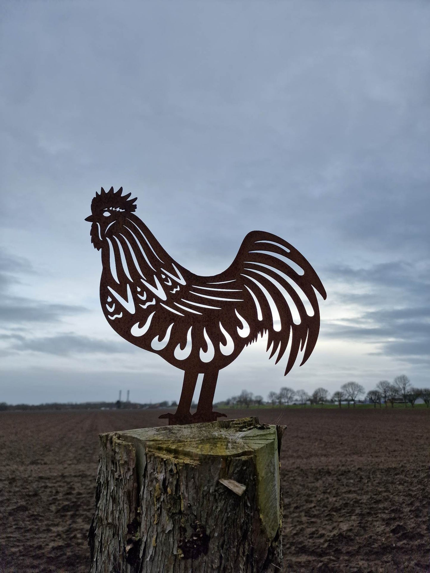 Rusty Metal Rooster Garden Decoration (last 1)