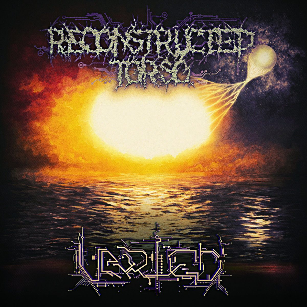 Reconstructed Torso - Varied CD