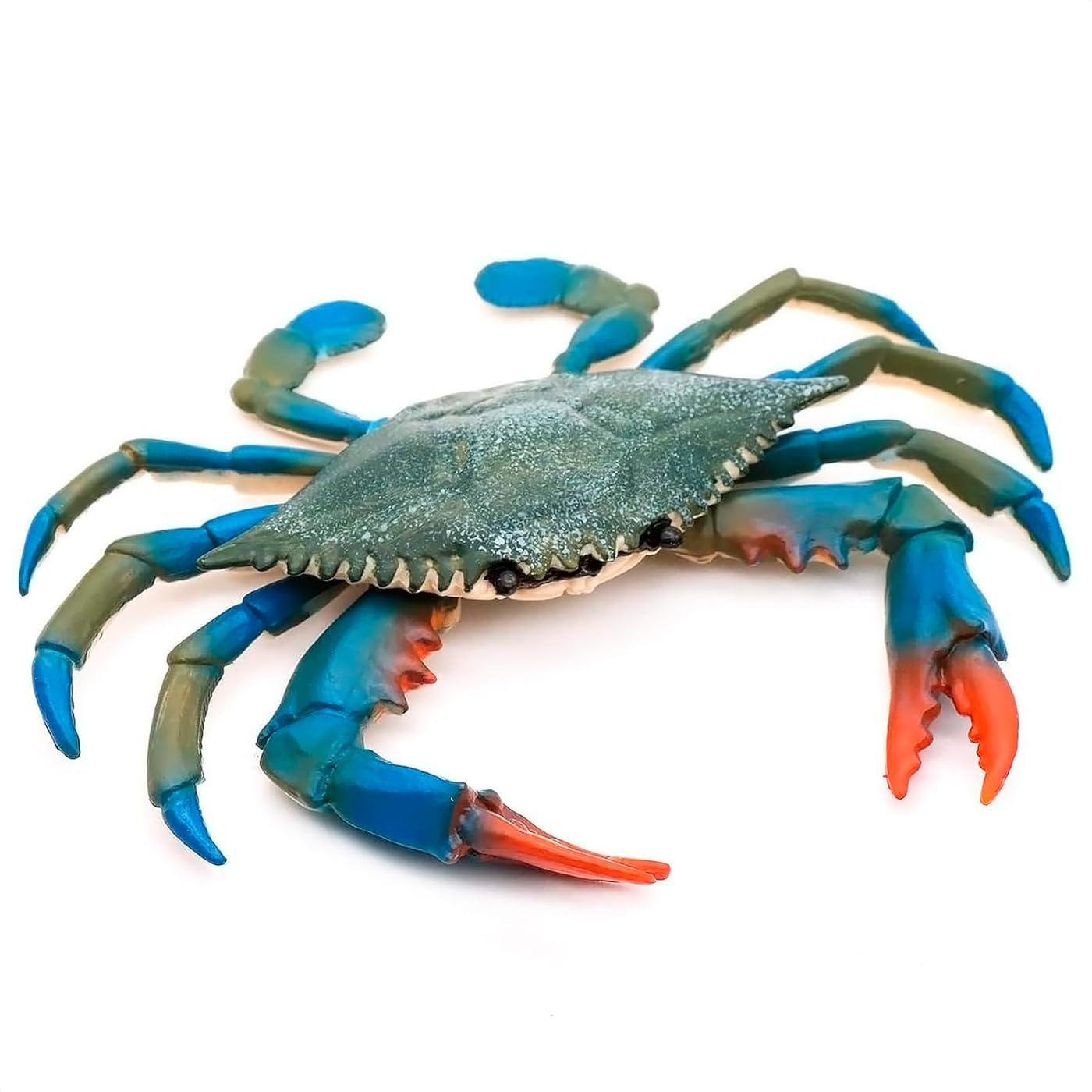 Reluen Crab Figure – Realistic Blue Crab, Durable & Lightweight Display Piece