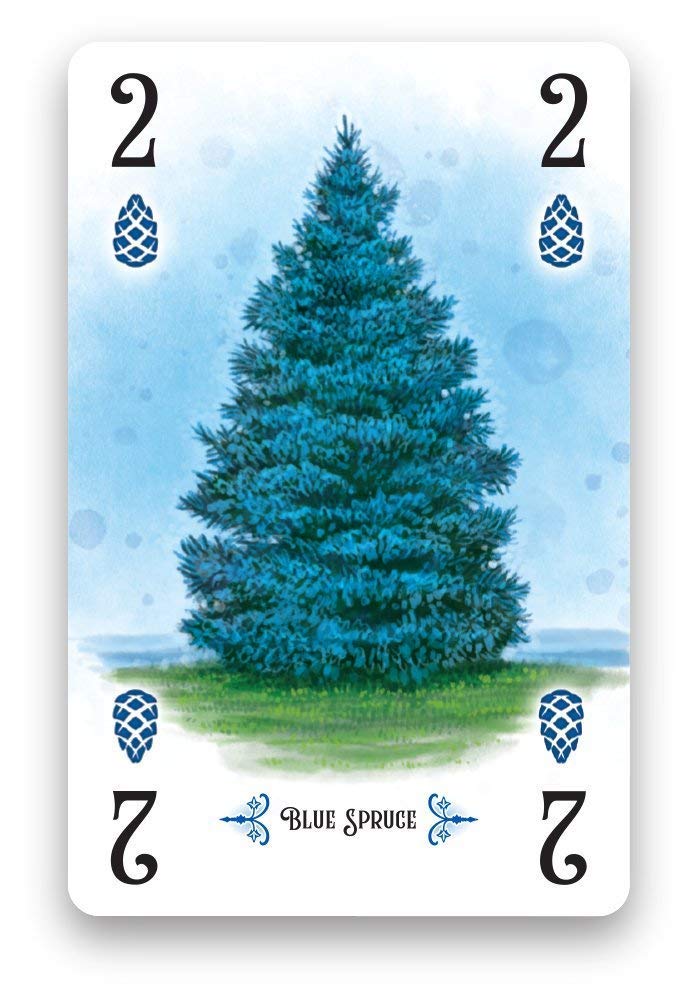 Renegade Game Studios Arboretum – Strategy Card Game for 2-4 Players (Ages 8+) | 30-Minute Play