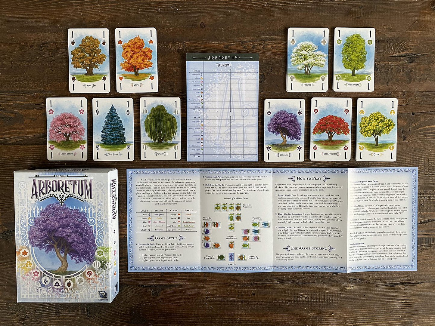 Renegade Game Studios Arboretum – Strategy Card Game for 2-4 Players (Ages 8+) | 30-Minute Play