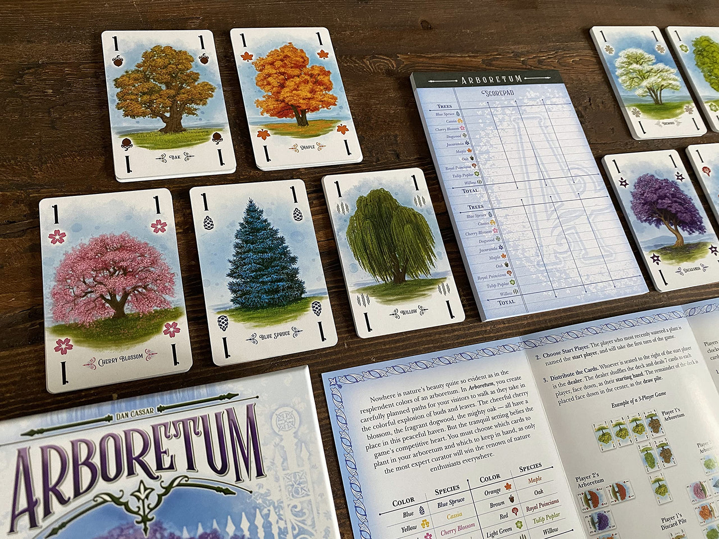 Renegade Game Studios Arboretum – Strategy Card Game for 2-4 Players (Ages 8+) | 30-Minute Play