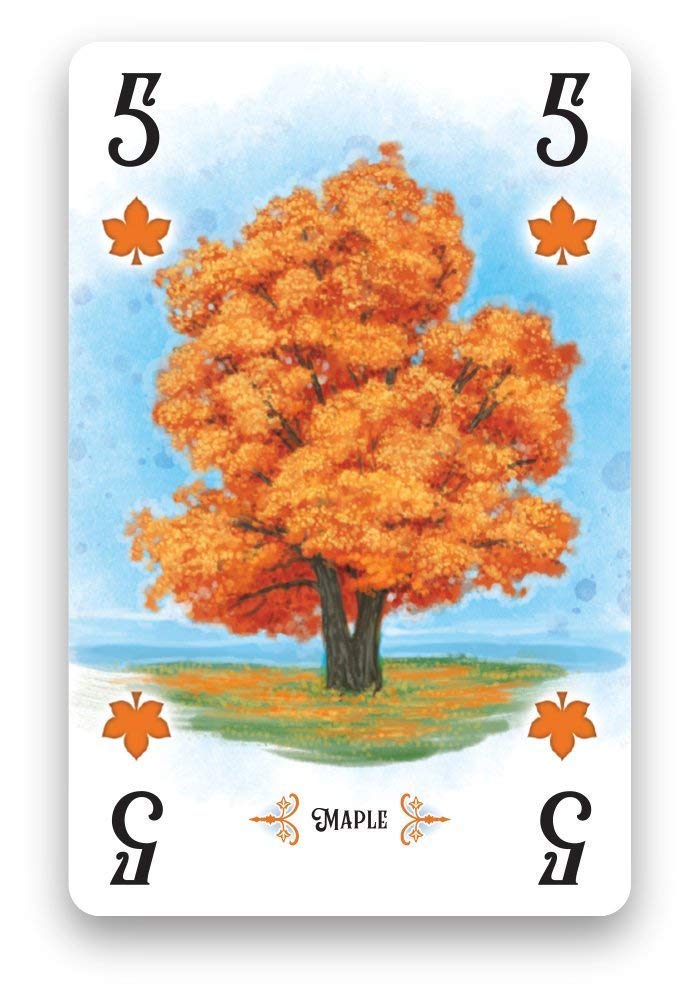 Renegade Game Studios Arboretum – Strategy Card Game for 2-4 Players (Ages 8+) | 30-Minute Play