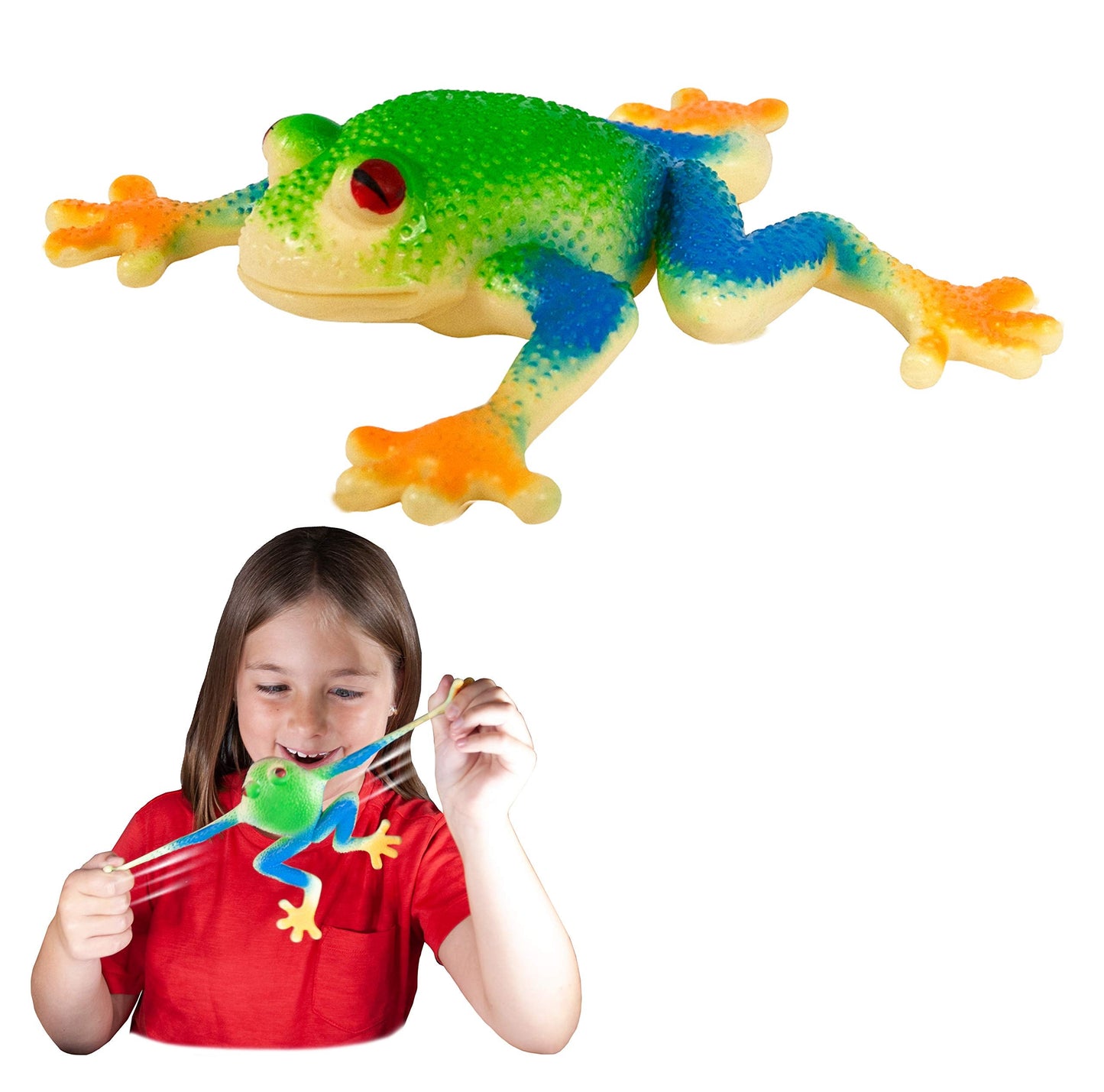 Rep Pals Red Eyed Tree Frog Stretchy Toy | Deluxebase