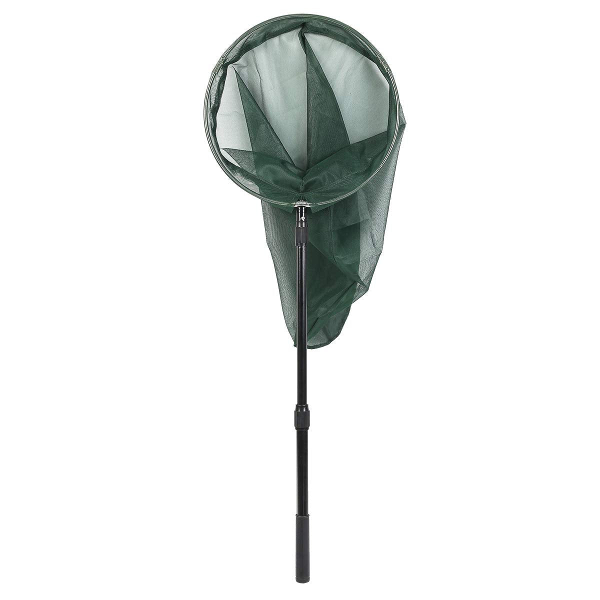 RESTCLOUD Professional Insect and Butterfly Net - 14-inch Stainless Ring, 53-inch Reach, Aluminum Telescoping Handle (Green)