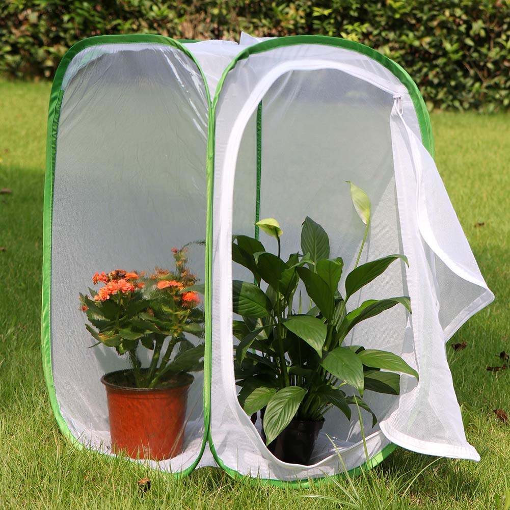 RESTCLOUD 3-Pack Butterfly Habitat Terrarium — Pop-Up Insect Enclosures (15.7 x 15.7 x 23.6 in)