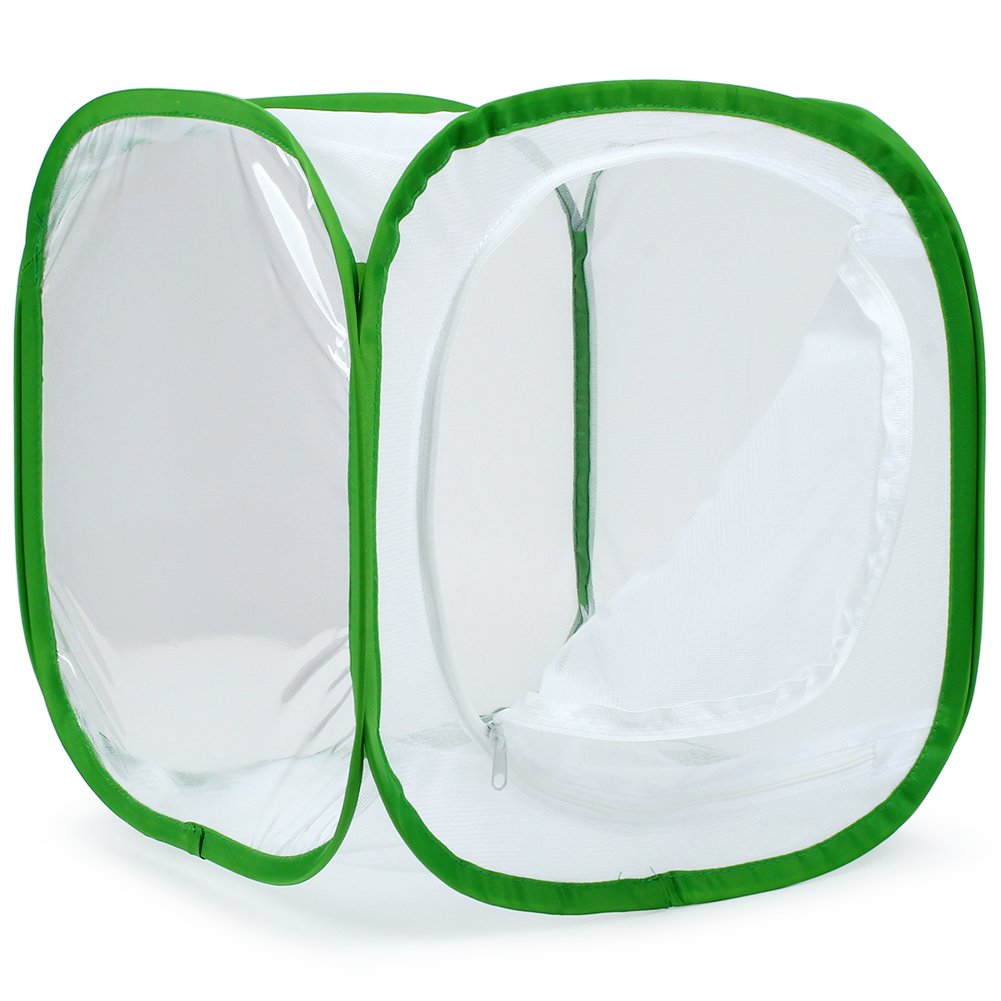 RESTCLOUD Insect & Butterfly Habitat Cage Terrarium – Pop-Up 12x12x12 in