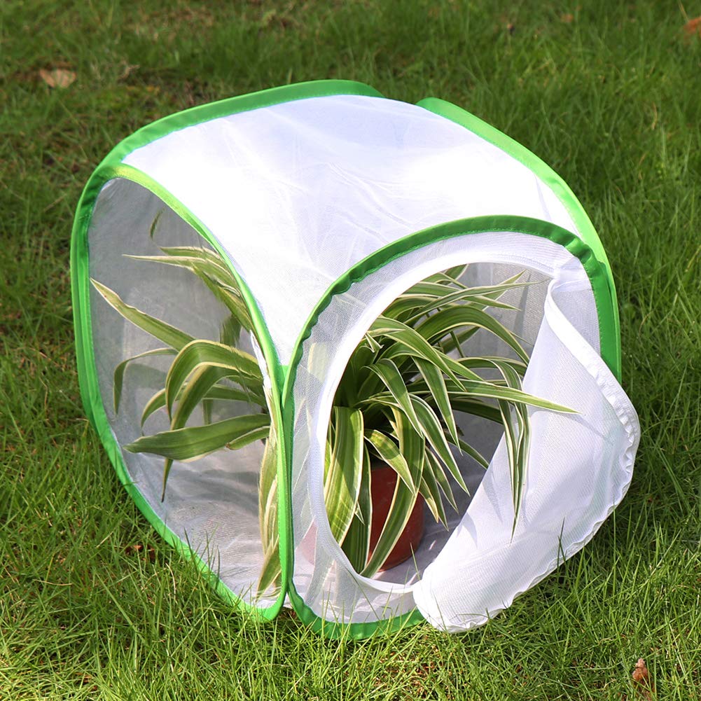 RESTCLOUD Insect & Butterfly Habitat Cage Terrarium – Pop-Up 12x12x12 in