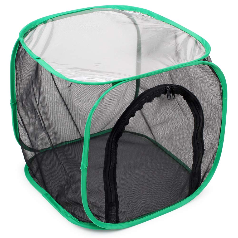 RESTCLOUD Insect and Butterfly Habitat Cage Terrarium – Pop-Up 12 x 12 x 12 Inches