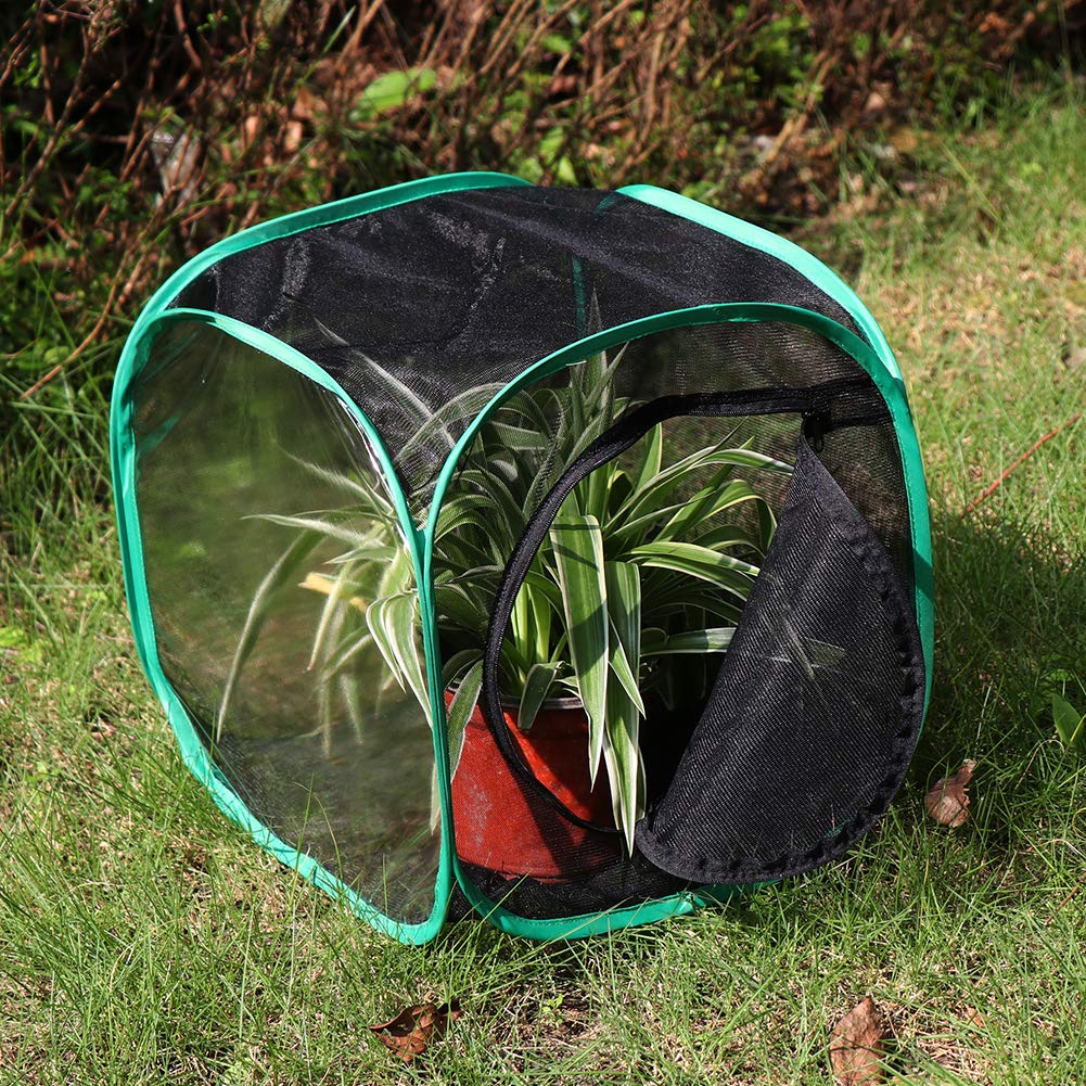 RESTCLOUD Insect and Butterfly Habitat Cage Terrarium – Pop-Up 12 x 12 x 12 Inches